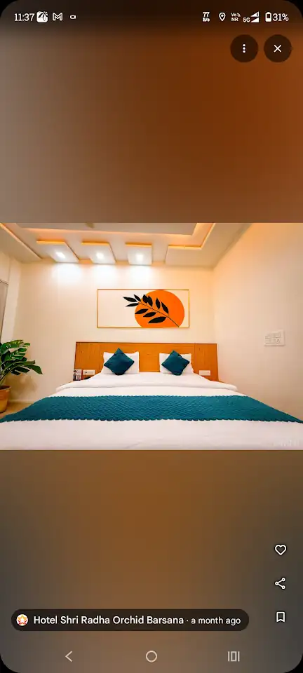 Chaudhary Guest House, photo 2